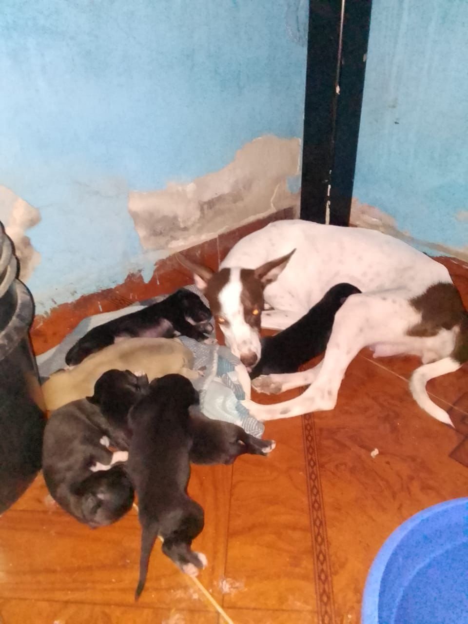 03610f8c 445a 4bca 9552 4e1cbf4e11cb