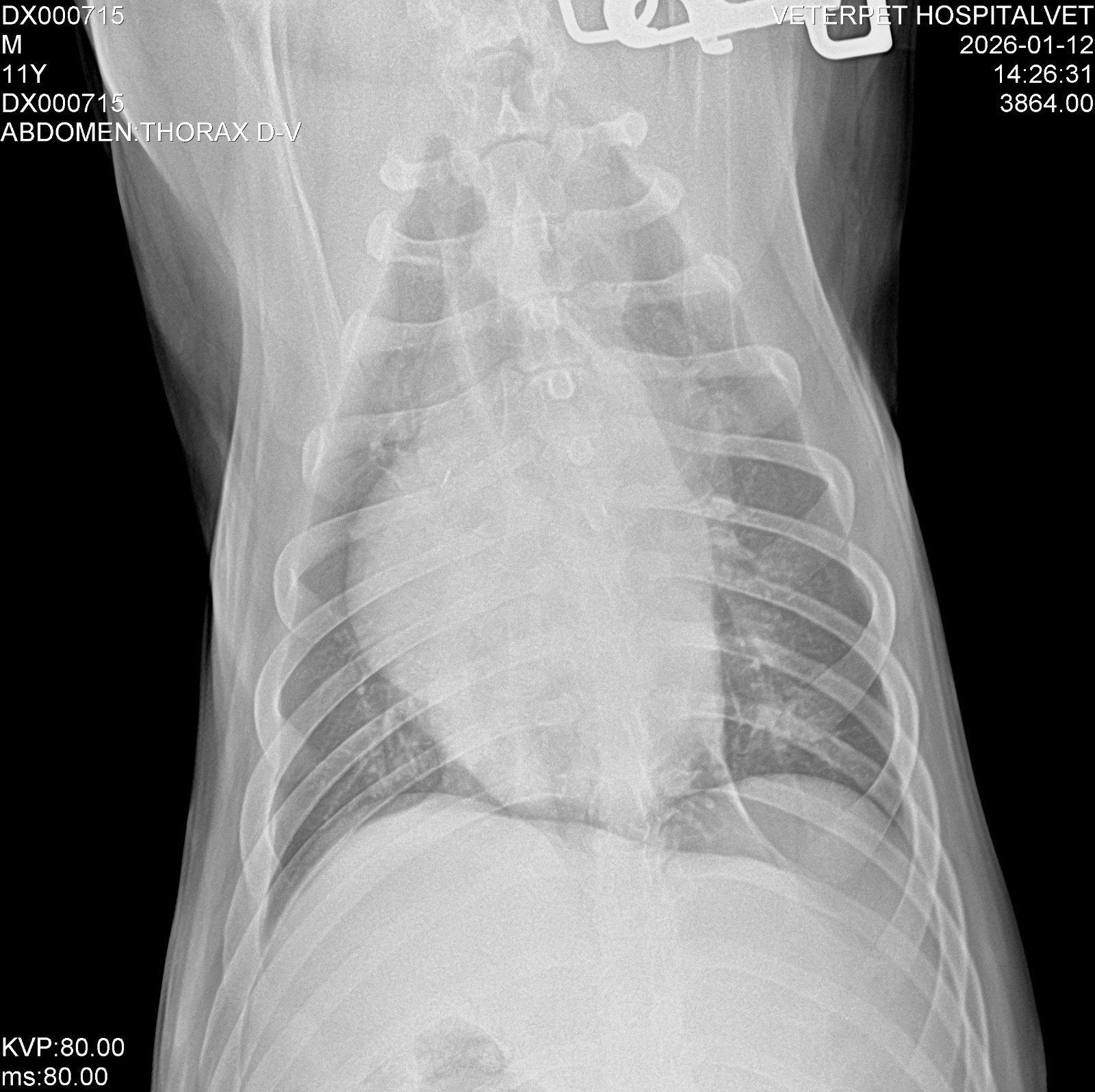 46e2acc0 a750 40ec 926e 219873e7f9b6