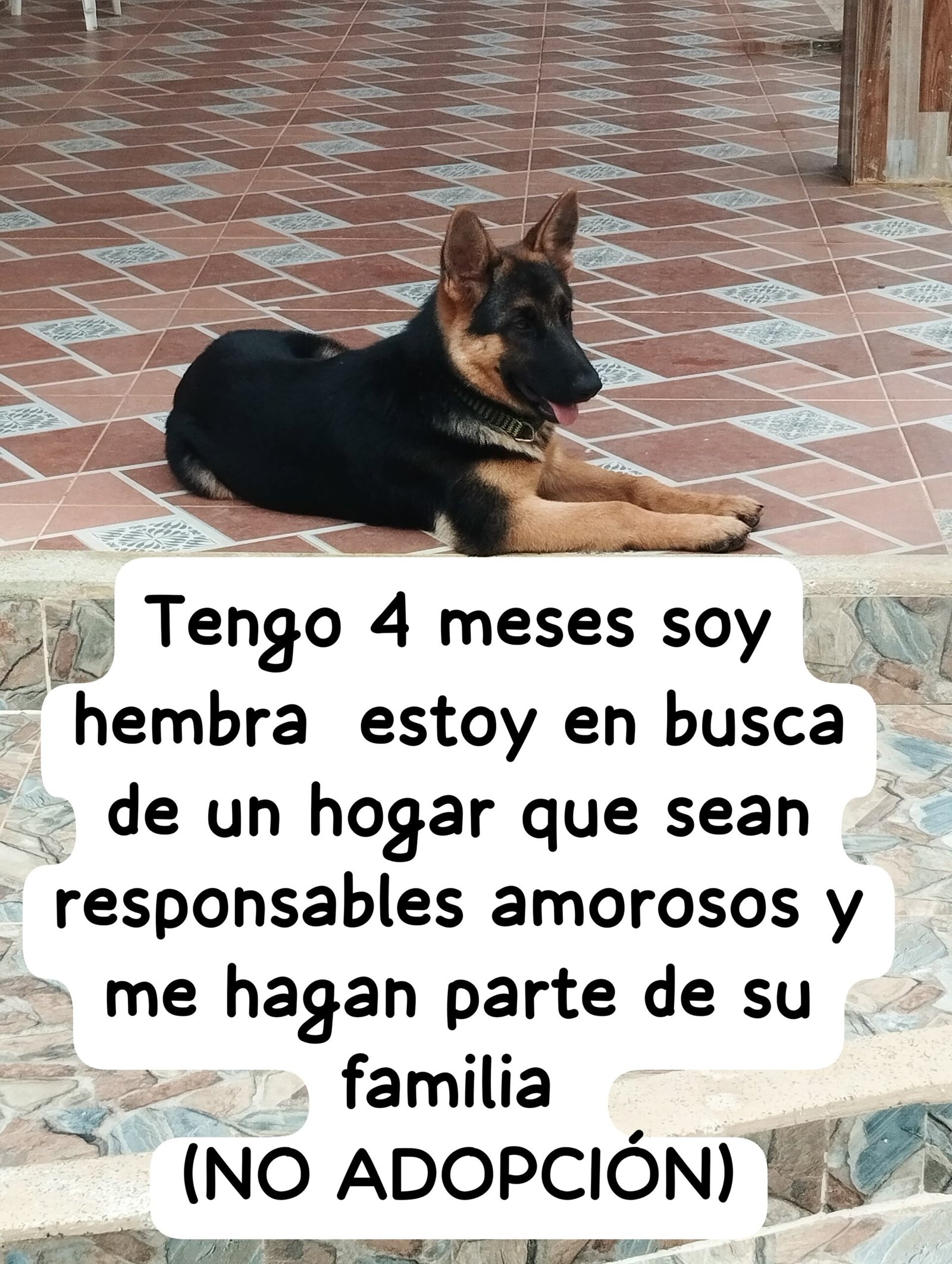 670a8771 b758 49d0 a264 465a65d822c9