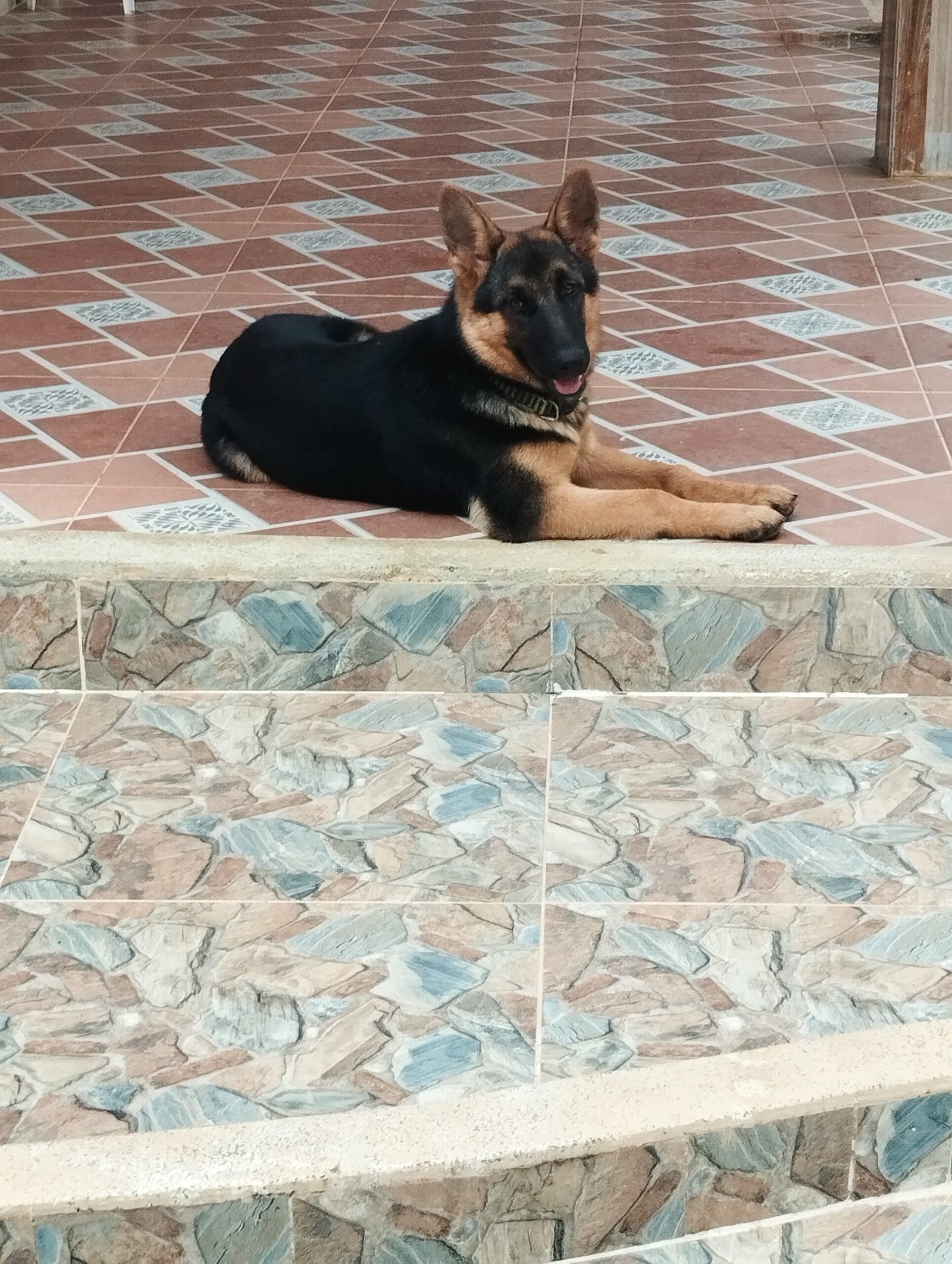 83858a2a bcda 4c6e 9221 2d5e864a3a95