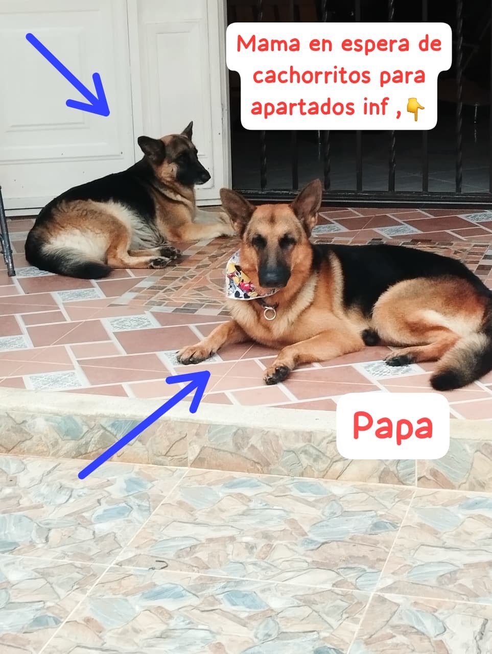 8d934ae0 6678 44a6 b276 4900fa3fee1a