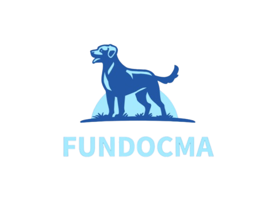 captura de pantalla 40 removebg preview