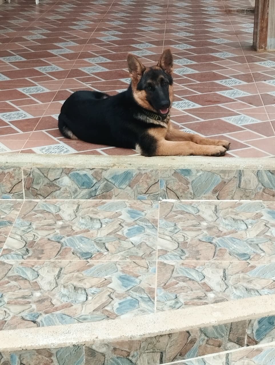 de65b14d c8a4 4f19 9ad4 27e9f5462d4c