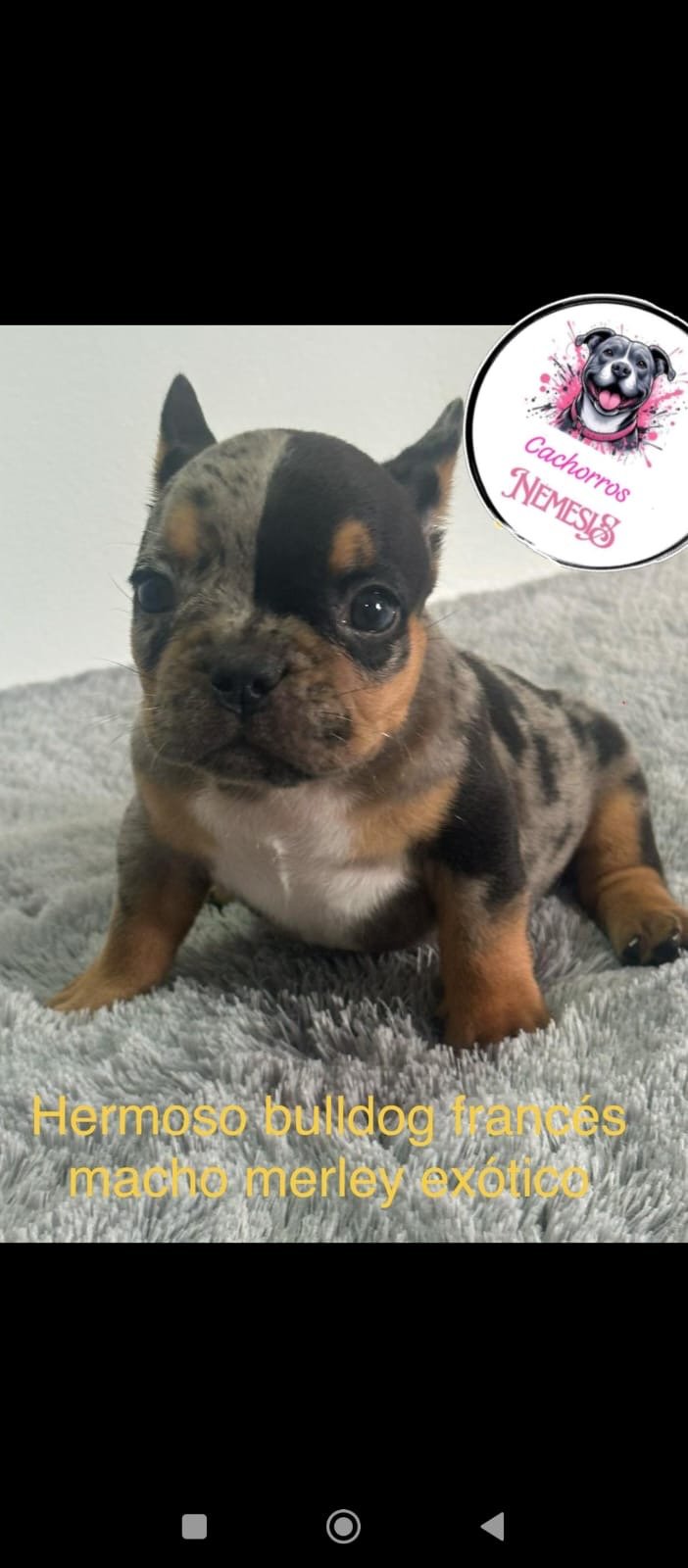 fc8ba7f6 c843 4bd1 a3d0 f0cd34801d67